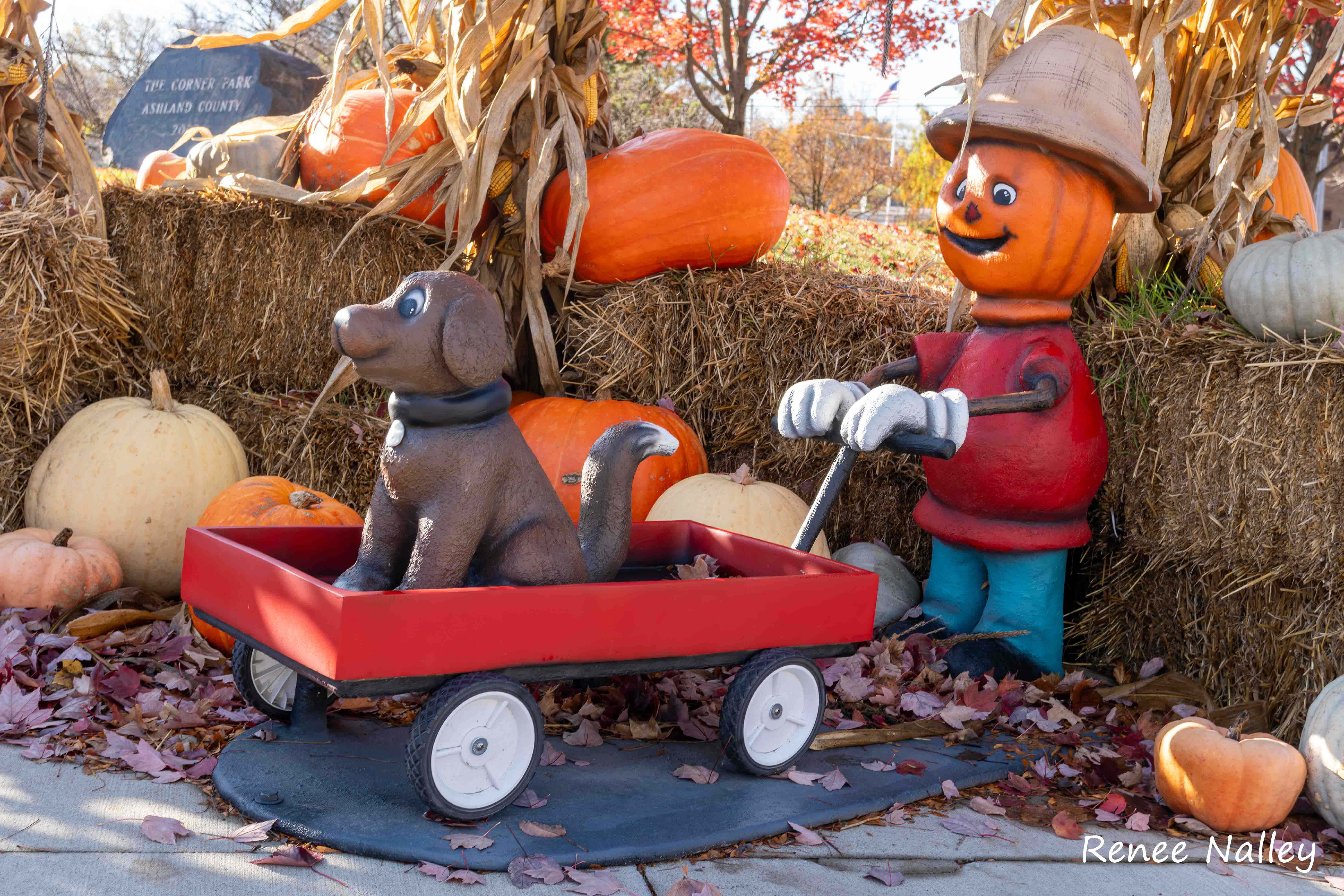 Pumpkin People Image